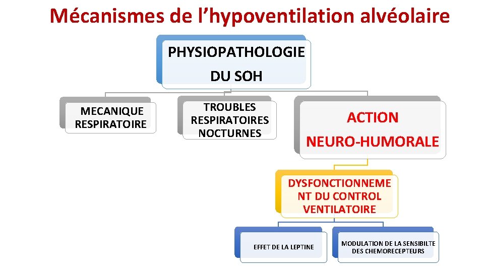 Mécanismes de l’hypoventilation alvéolaire PHYSIOPATHOLOGIE DU SOH MECANIQUE RESPIRATOIRE TROUBLES RESPIRATOIRES NOCTURNES ACTION NEURO-HUMORALE