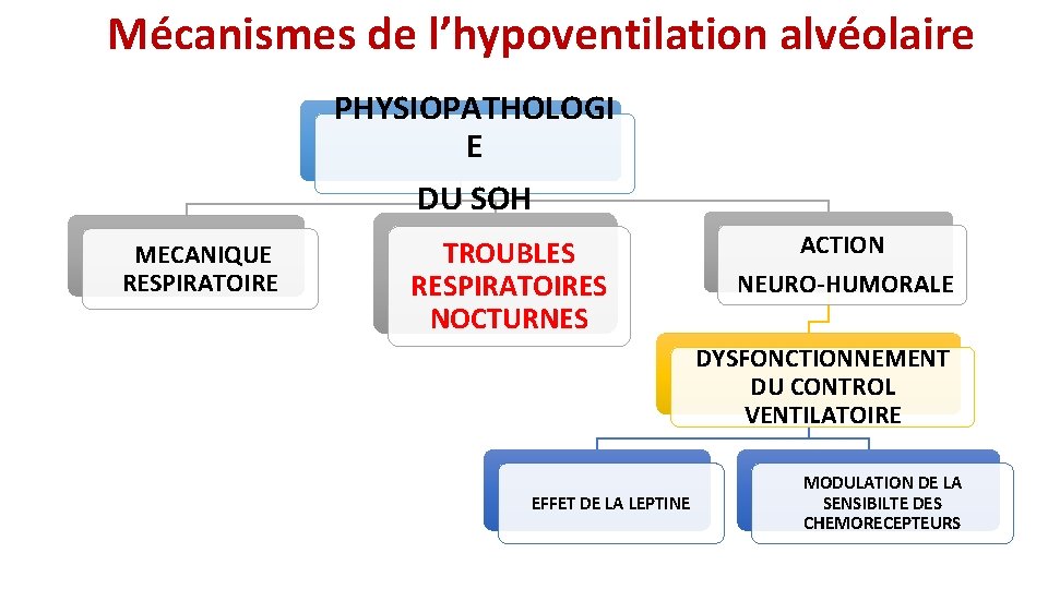 Mécanismes de l’hypoventilation alvéolaire PHYSIOPATHOLOGI E DU SOH MECANIQUE RESPIRATOIRE TROUBLES RESPIRATOIRES NOCTURNES ACTION