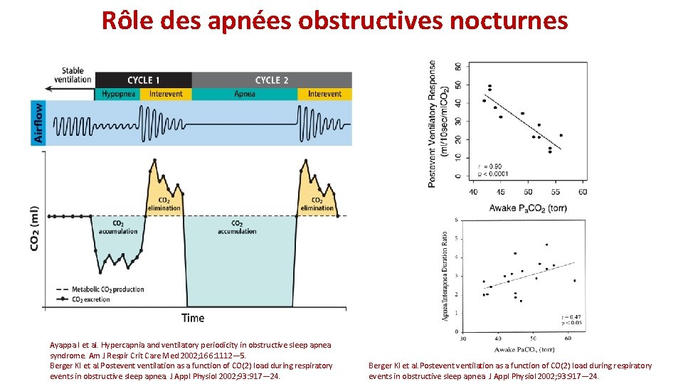  Rôle des apnées obstructives nocturnes Ayappa I et al. Hypercapnia and ventilatory periodicity