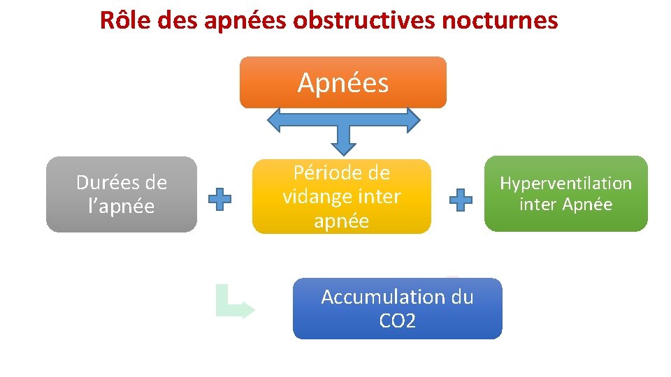  Rôle des apnées obstructives nocturnes Apnées Durées de l’apnée Période de vidange inter