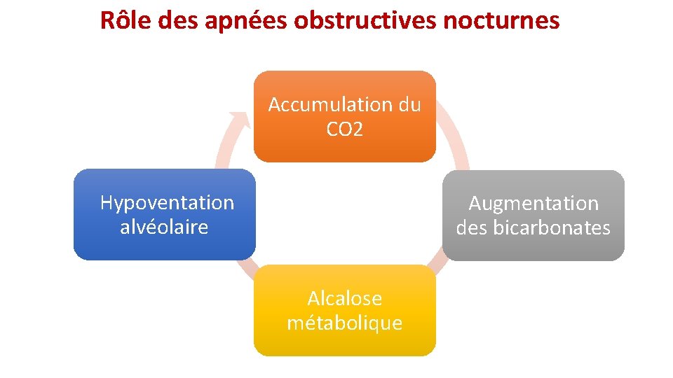  Rôle des apnées obstructives nocturnes Accumulation du CO 2 Hypoventation alvéolaire Augmentation des