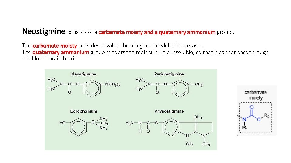 Neostigmine consists of a carbamate moiety and a quaternary ammonium group. The carbamate moiety