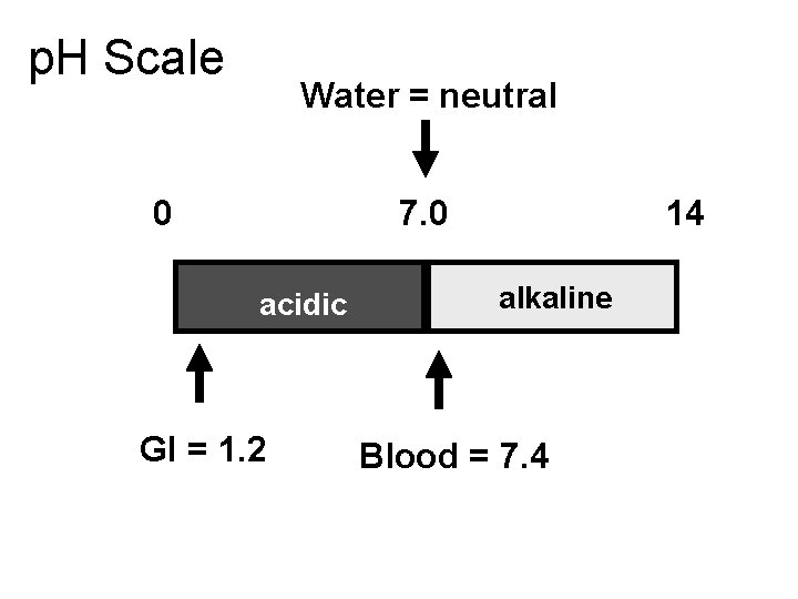 p. H Scale Water = neutral 0 7. 0 acidic GI = 1. 2