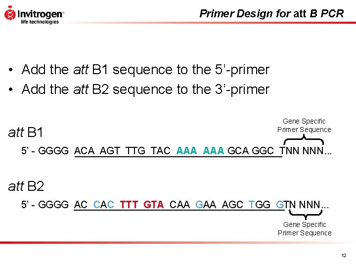 Primer Design for att B PCR • Add the att B 1 sequence to