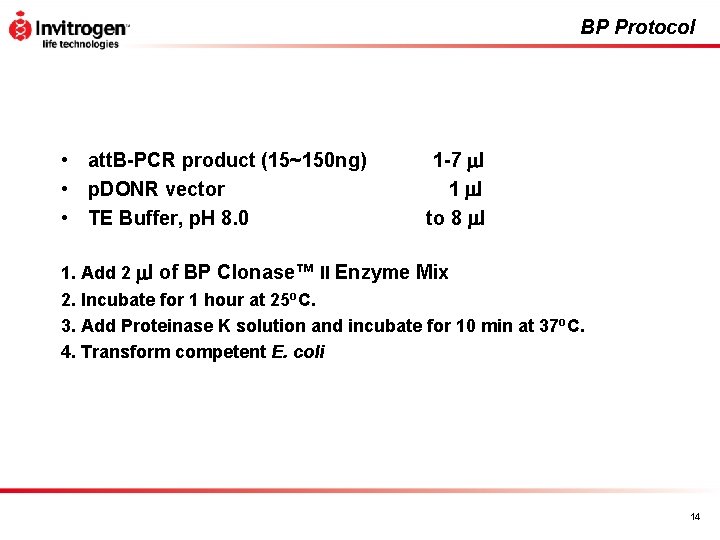 BP Protocol • att. B-PCR product (15~150 ng) • p. DONR vector • TE