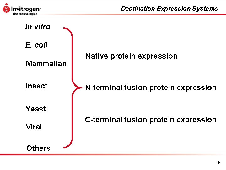 Destination Expression Systems In vitro E. coli Mammalian Insect Native protein expression N-terminal fusion