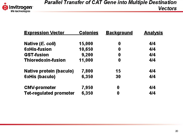 Parallel Transfer of CAT Gene into Multiple Destination Vectors Expression Vector Colonies Background Analysis