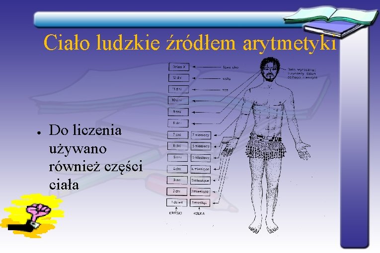 Ciało ludzkie źródłem arytmetyki ● Do liczenia używano również części ciała Ciało ludzkie źródłem arytmetyki ● Do liczenia używano również części ciała