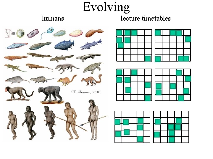 Evolving humans lecture timetables 