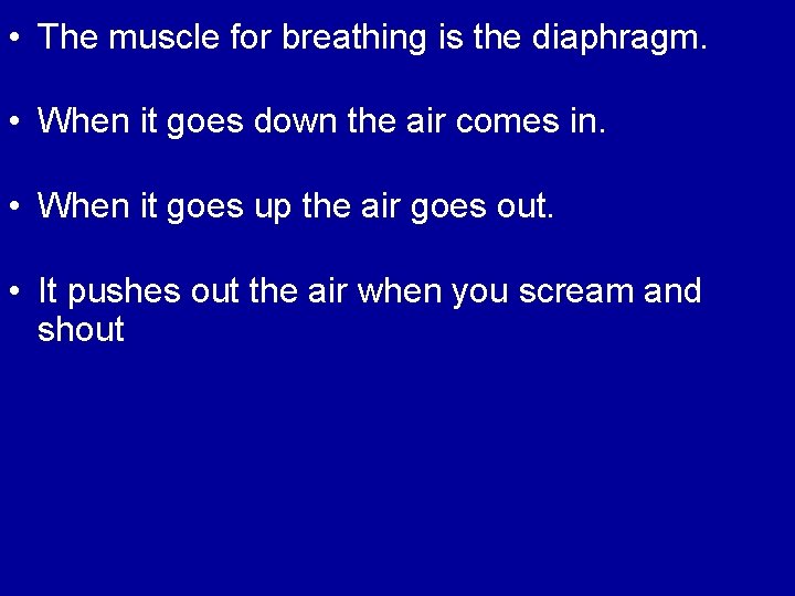  • The muscle for breathing is the diaphragm. • When it goes down