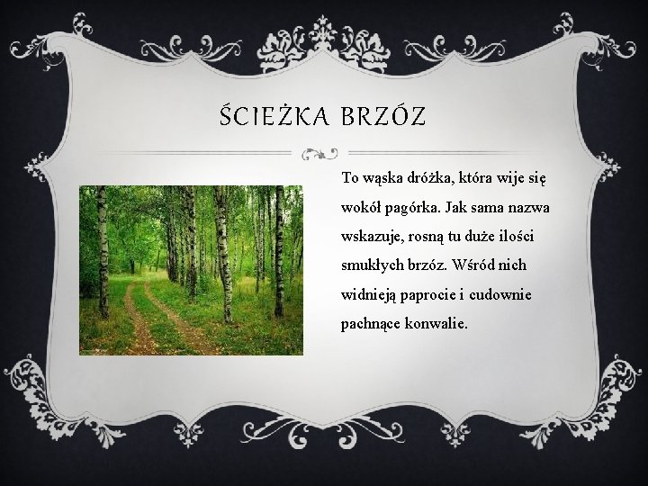 ŚCIEŻKA BRZÓZ To wąska dróżka, która wije się wokół pagórka. Jak sama nazwa wskazuje,