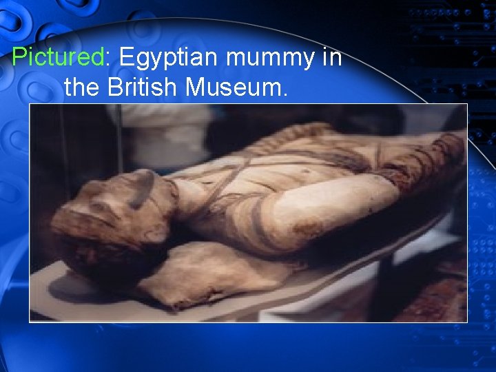 Pictured: Egyptian mummy in the British Museum. 