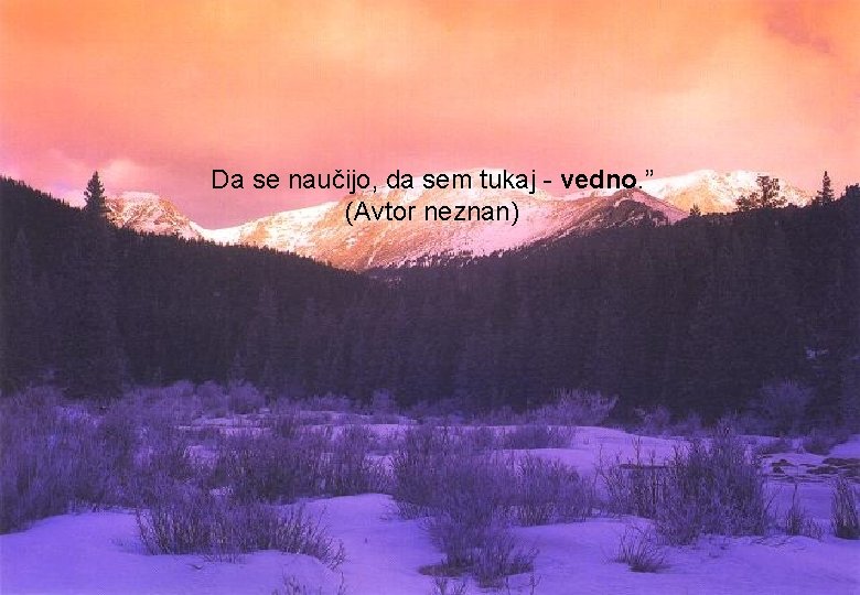 Da se naučijo, da sem tukaj - vedno. ” (Avtor neznan) 