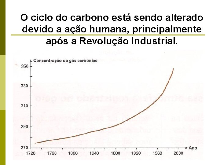 O ciclo do carbono está sendo alterado devido a ação humana, principalmente após a