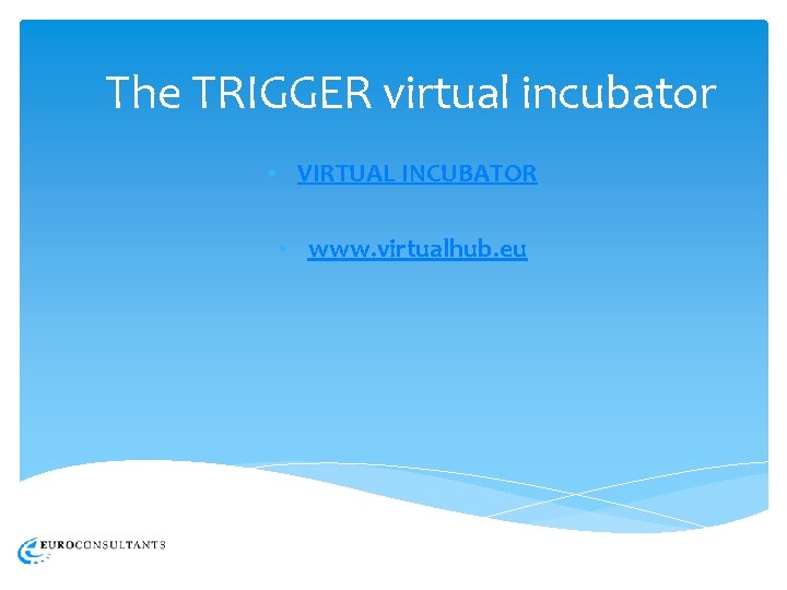 The TRIGGER virtual incubator • VIRTUAL INCUBATOR • www. virtualhub. eu 