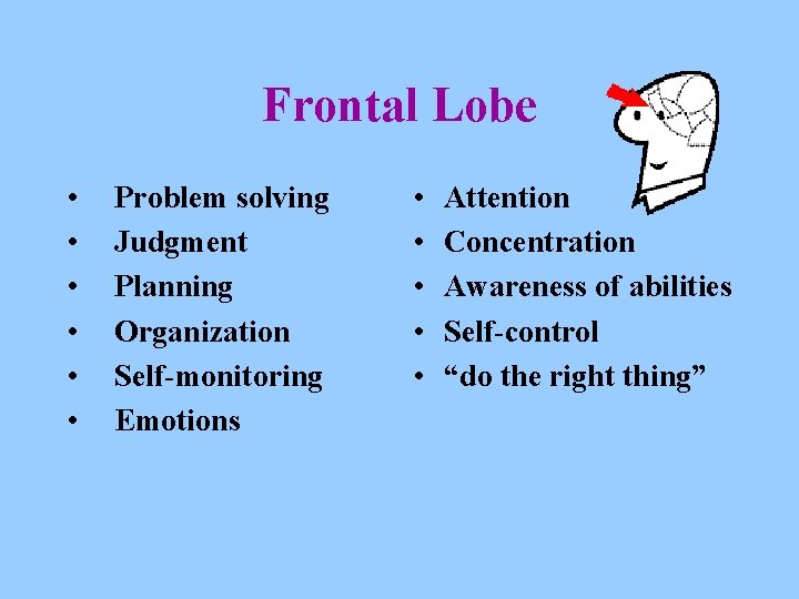 Frontal Lobe • • • Problem solving Judgment Planning Organization Self-monitoring Emotions • •