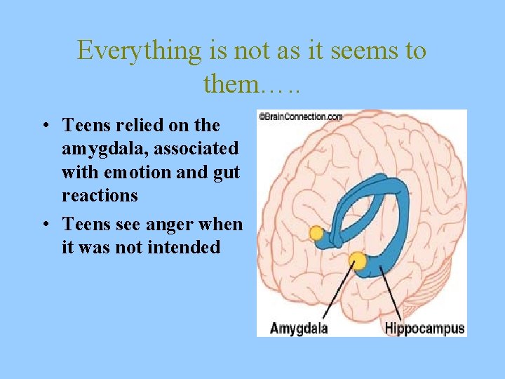 Everything is not as it seems to them…. . • Teens relied on the