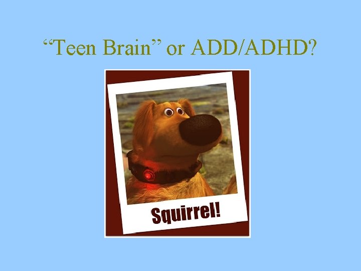 “Teen Brain” or ADD/ADHD? 