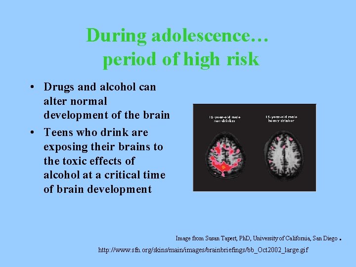 During adolescence… period of high risk • Drugs and alcohol can alter normal development