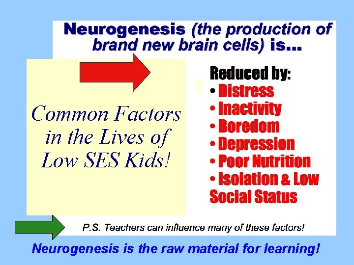 Common Factors in the Lives of Low SES Kids! Neurogenesis is the raw material