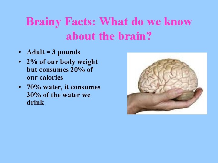 Brainy Facts: What do we know about the brain? • Adult = 3 pounds