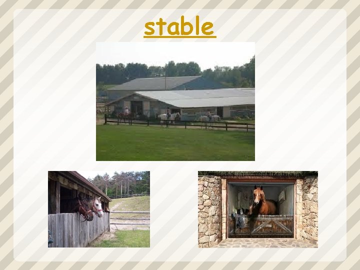 stable 