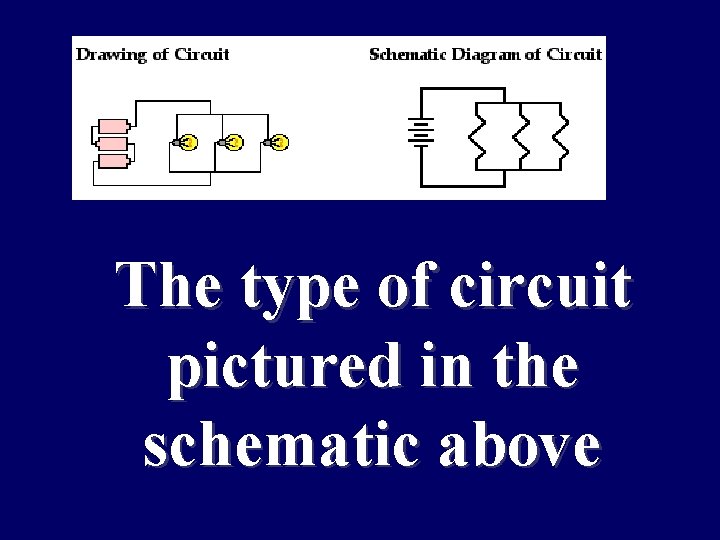 What is an The type of circuit pictured in the owl pellet? schematic above