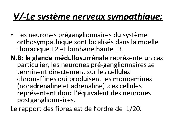V/-Le système nerveux sympathique: • Les neurones préganglionnaires du système orthosympathique sont localisés dans