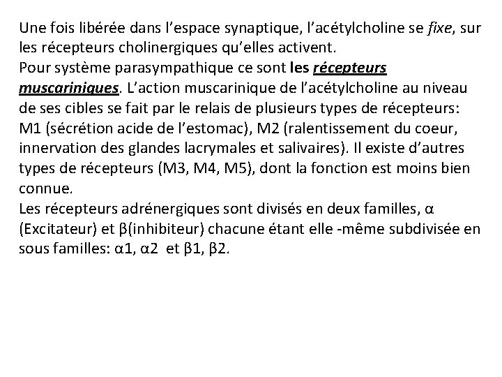 Une fois libérée dans l’espace synaptique, l’acétylcholine se fixe, sur les récepteurs cholinergiques qu’elles