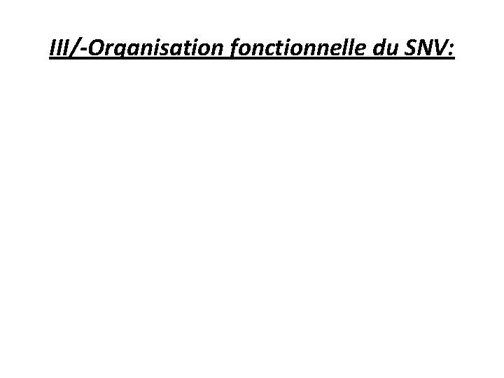 III/-Organisation fonctionnelle du SNV: 