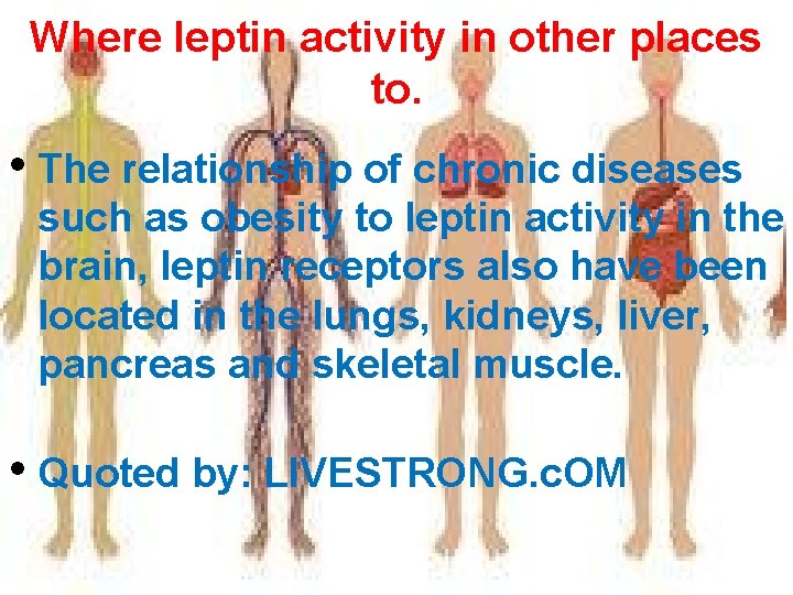 Where leptin activity in other places to. • The relationship of chronic diseases such