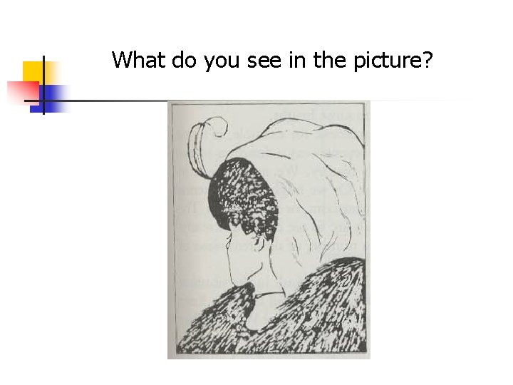 What do you see in the picture? 