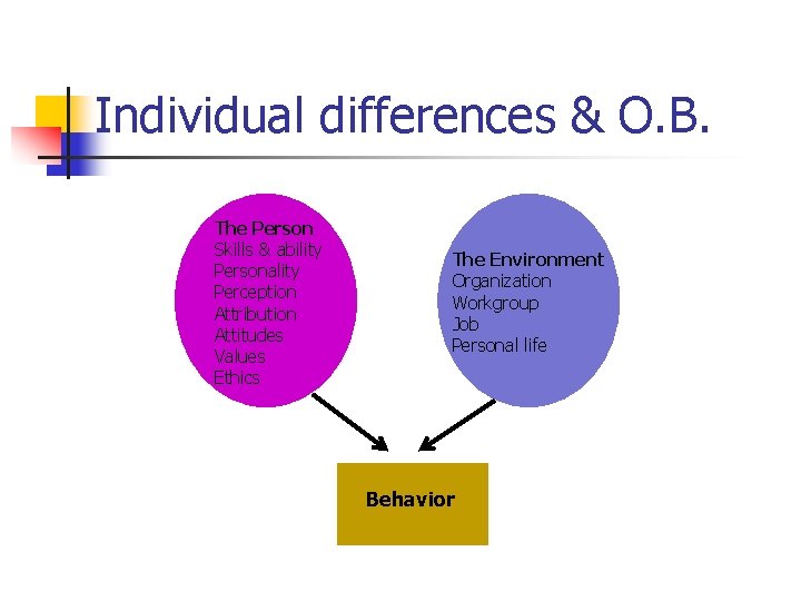 Individual differences & O. B. The Person Skills & ability Personality Perception Attribution Attitudes