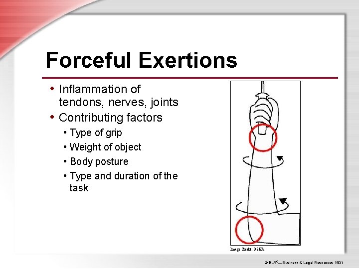 Forceful Exertions • Inflammation of tendons, nerves, joints • Contributing factors • Type of