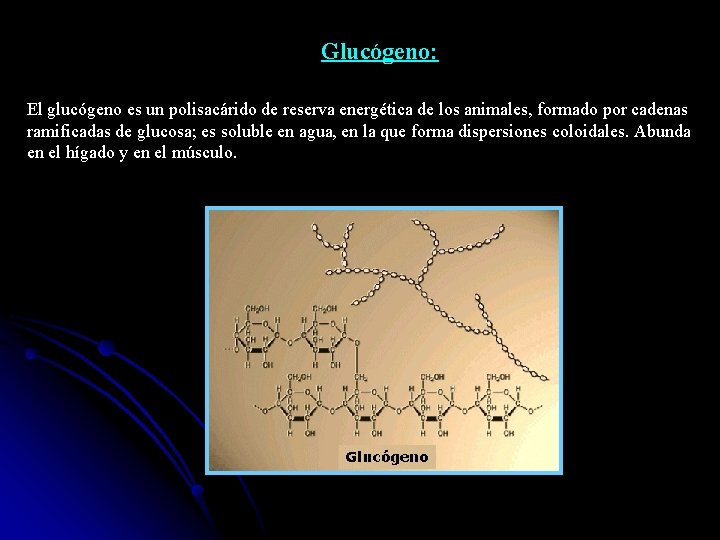 Glucógeno: El glucógeno es un polisacárido de reserva energética de los animales, formado por
