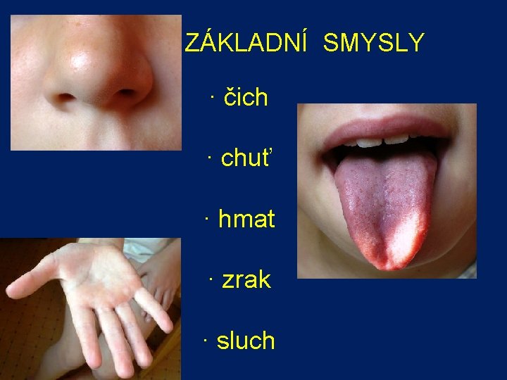  ZÁKLADNÍ SMYSLY · čich · chuť · hmat · zrak · sluch 