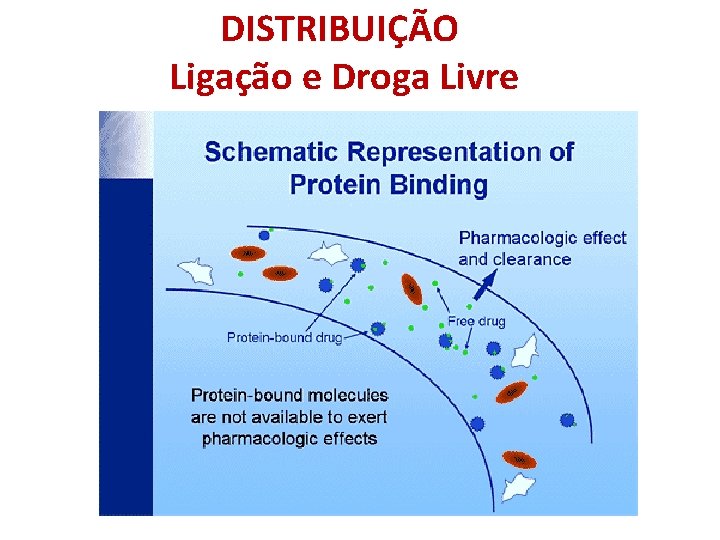DISTRIBUIÇÃO Ligação e Droga Livre 