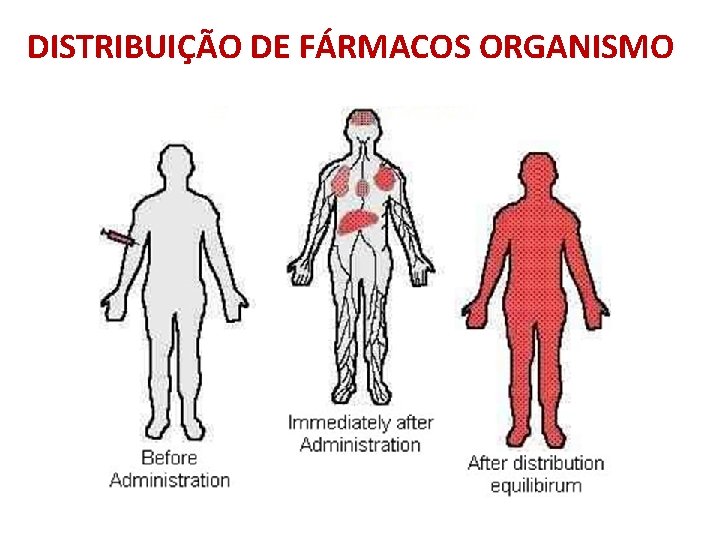 DISTRIBUIÇÃO DE FÁRMACOS ORGANISMO 