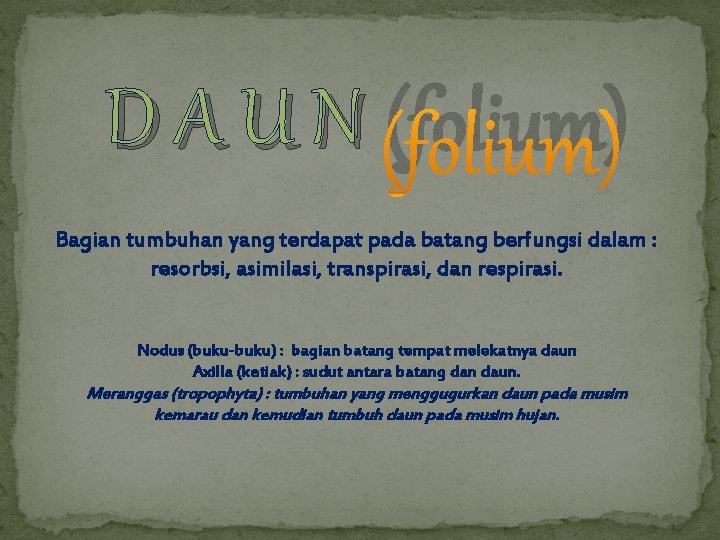 D A U N (folium) Bagian tumbuhan yang terdapat pada batang berfungsi dalam :