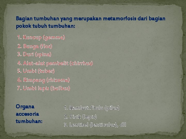 Bagian tumbuhan yang merupakan metamorfosis dari bagian pokok tubuh tumbuhan: 1. Kuncup (gemma) 2.