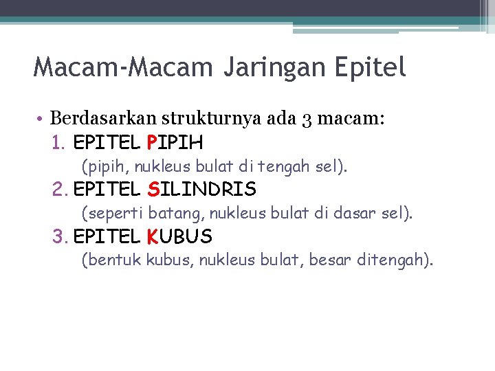 Macam-Macam Jaringan Epitel • Berdasarkan strukturnya ada 3 macam: 1. EPITEL PIPIH (pipih, nukleus