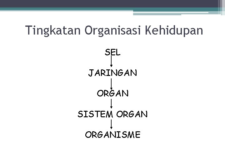 Tingkatan Organisasi Kehidupan SEL JARINGAN ORGAN SISTEM ORGANISME 