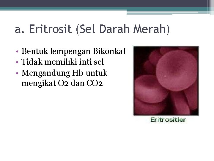 a. Eritrosit (Sel Darah Merah) • Bentuk lempengan Bikonkaf • Tidak memiliki inti sel