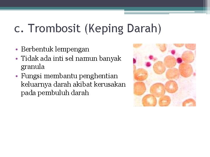 c. Trombosit (Keping Darah) • Berbentuk lempengan • Tidak ada inti sel namun banyak