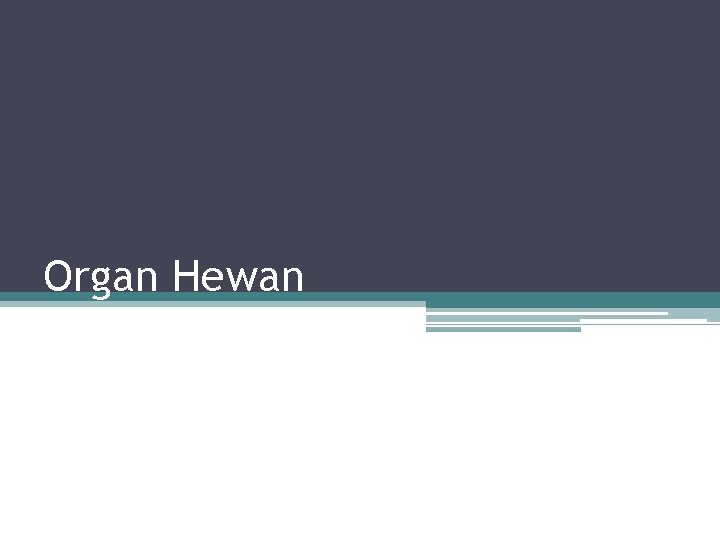 Organ Hewan 