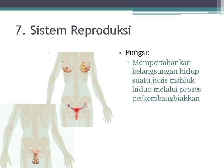 7. Sistem Reproduksi • Fungsi: ▫ Mempertahankan kelangsungan hidup suatu jenis mahluk hidup melalui