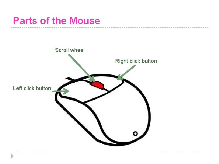 Parts of the Mouse Scroll wheel Right click button Left click button 