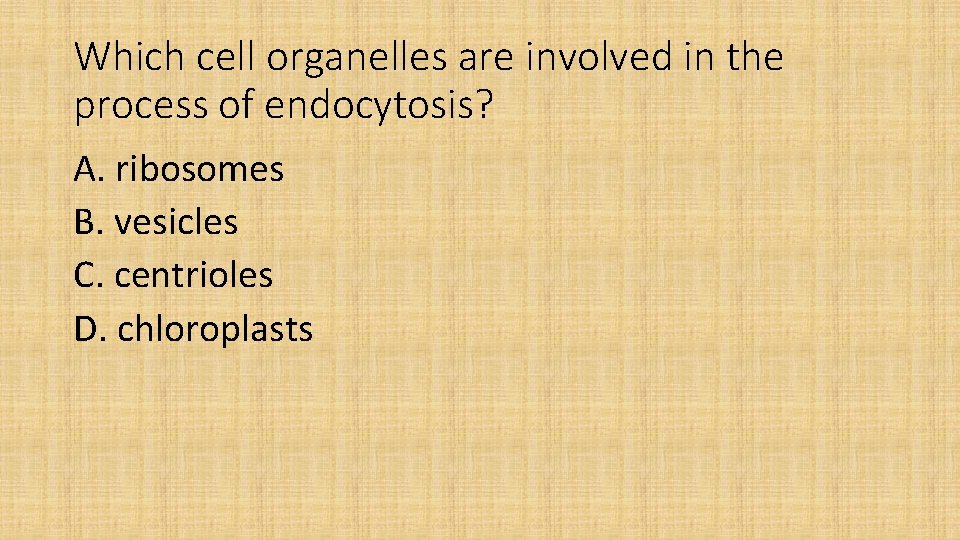 Which cell organelles are involved in the process of endocytosis? A. ribosomes B. vesicles
