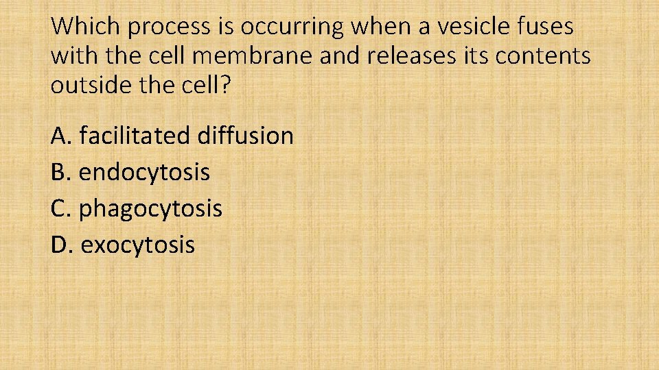 Which process is occurring when a vesicle fuses with the cell membrane and releases