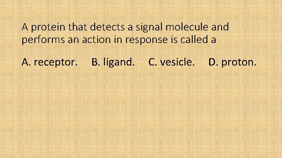 A protein that detects a signal molecule and performs an action in response is